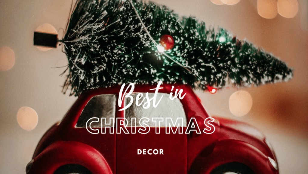 Best in Christmas Decor including outdoor decor