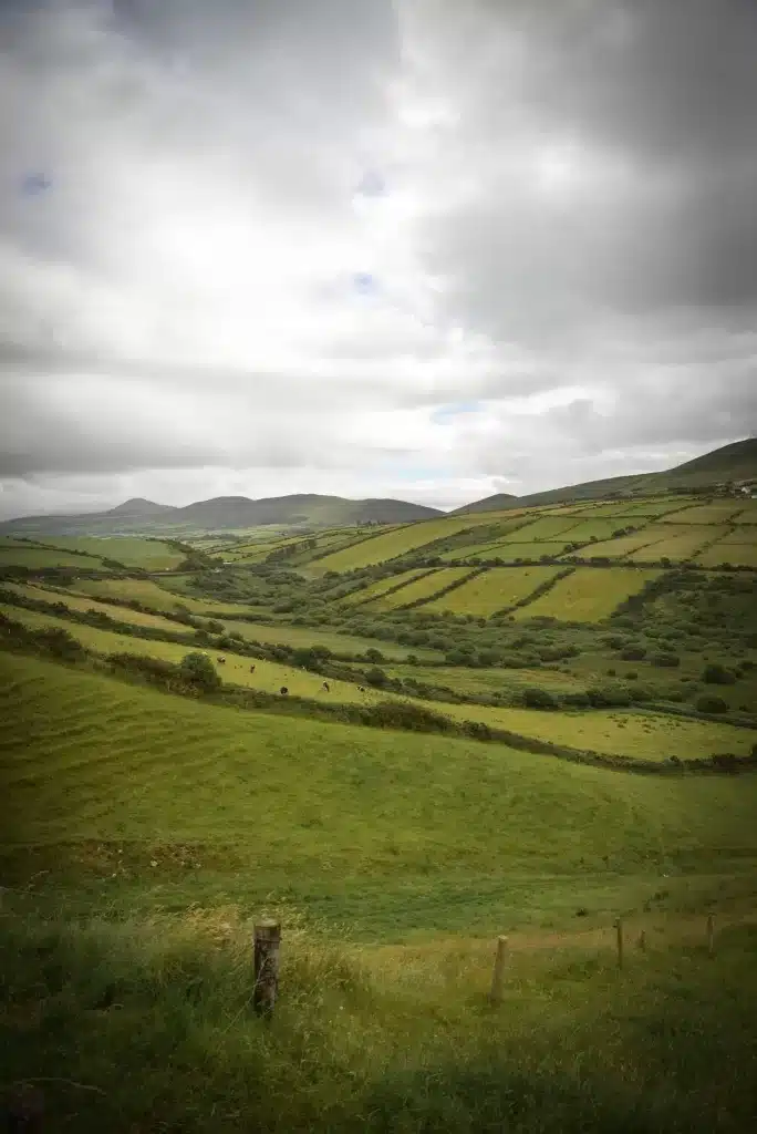 We used Expedia to book our flights to Ireland to see the beautiful shades of green, like in this field.