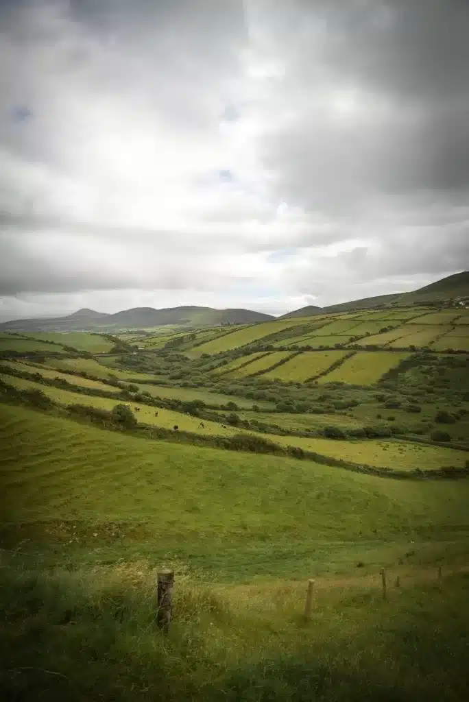 If you're wondering where to visit in Ireland, the Dingle Peninsula should be added to your itinerary.