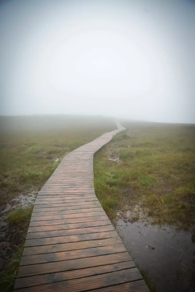 One thing we love to do in Ireland is explore Connemara National Park and don't forget your power adapter so your camera is charged and ready to take the best shots.