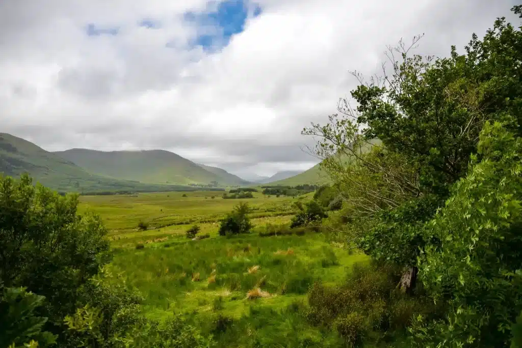 Ireland's countryside is filled with beauty, which is why so many people take road trips there.