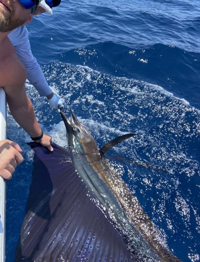 Deep sea fishing is a popular thing to do in Costa Rica. We caught one Marlin.