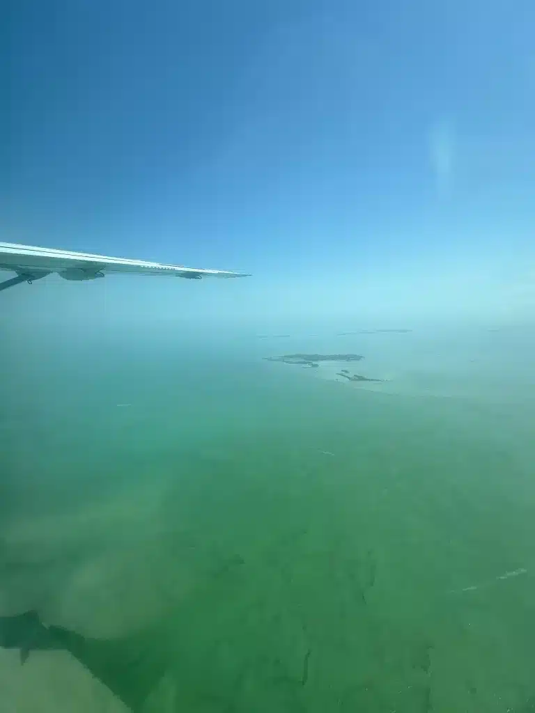 Beautiful waters from the best airline flight.