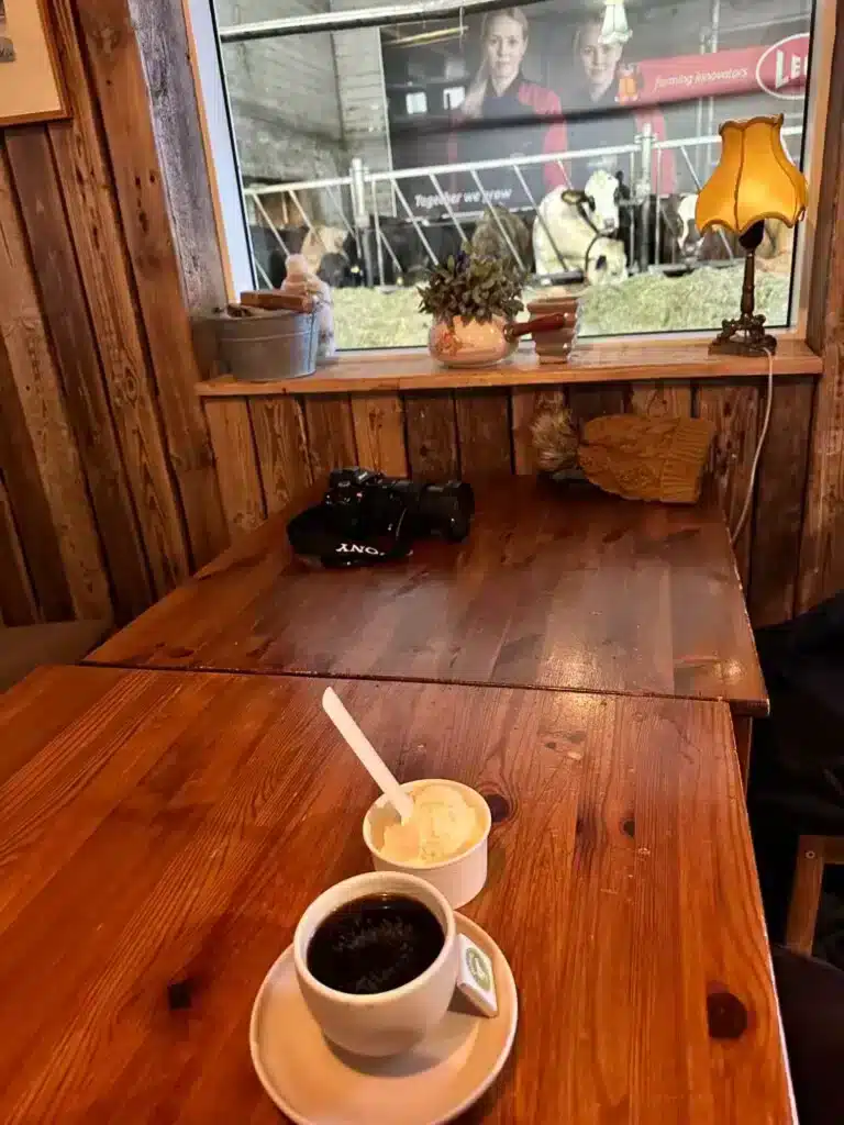 Eating ice cream with the cows in Iceland. 