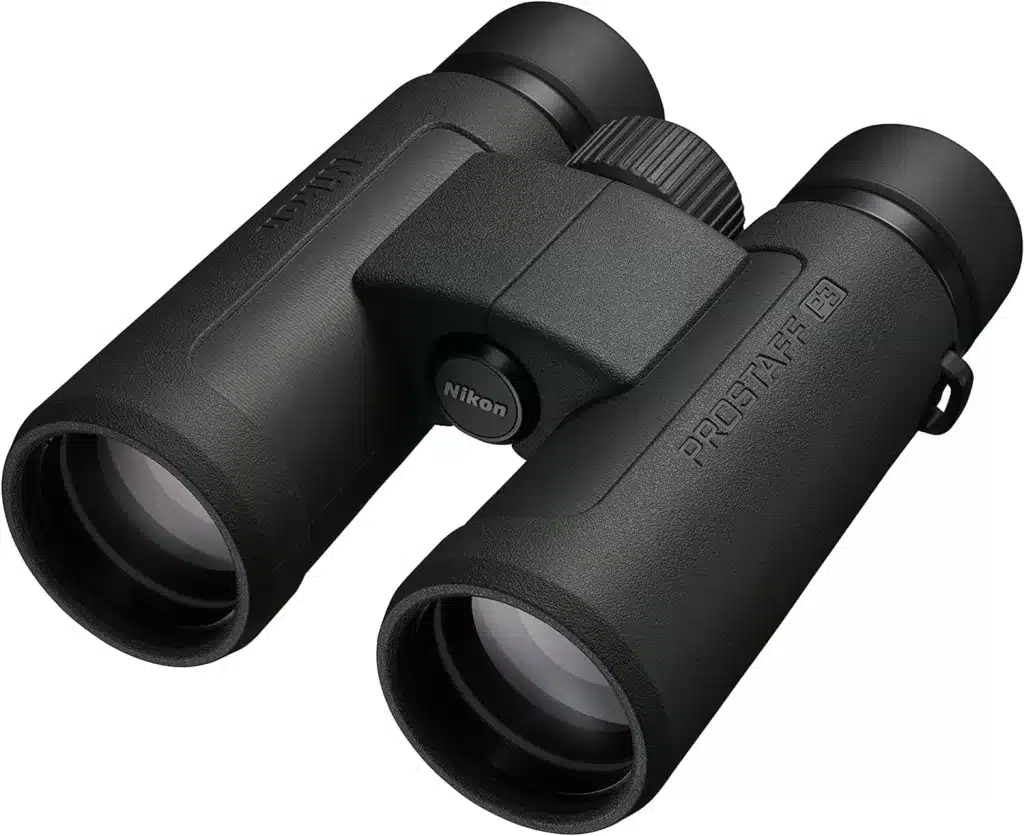 Binoculars for bird watching on Marco Island in February. 