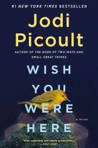 Wish You Were Here, by Jodi Picoult is  a great read. 