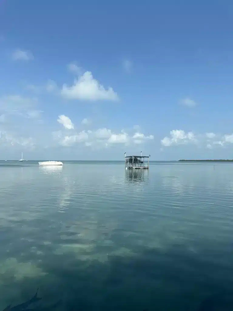 A picture of the water near the tarpon feeding dock.