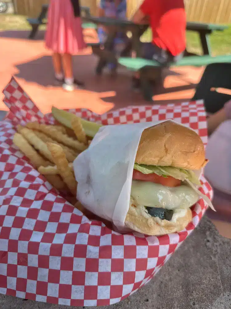 A turkey burger, one the the best in Taylors Falls MN restaurants. 