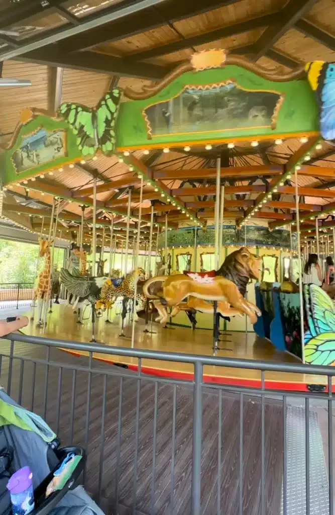 A zoo trip is only complete with the Merry-Go-Round.